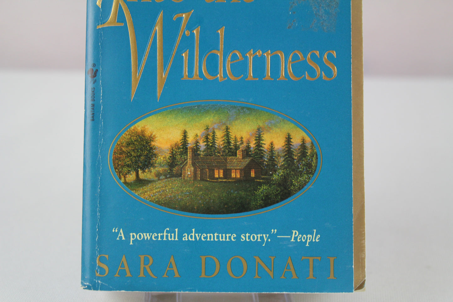 Into the Wilderness by Sara Donati