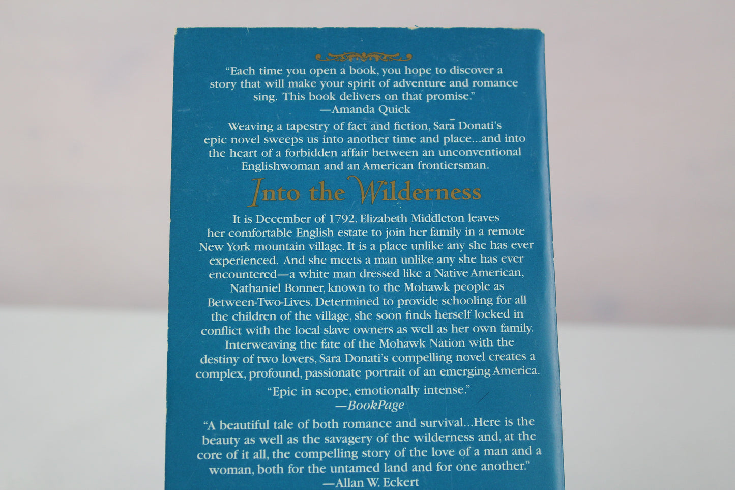 Into the Wilderness by Sara Donati