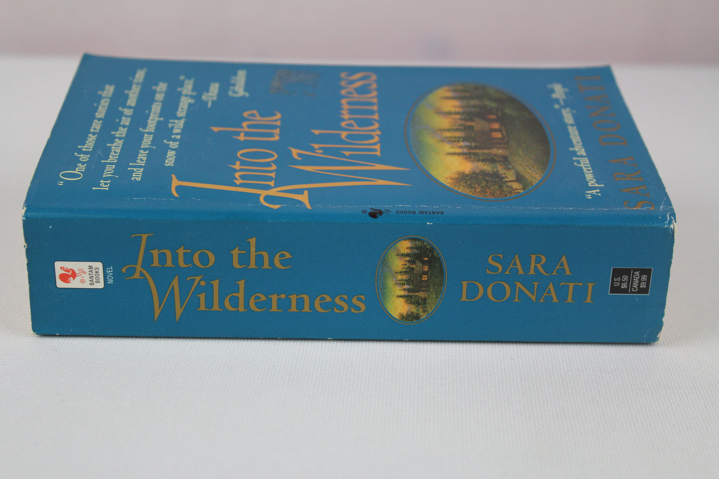 Into the Wilderness by Sara Donati