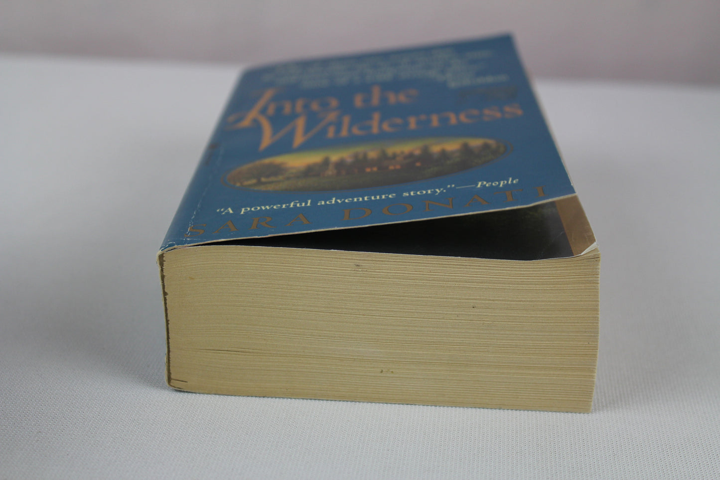 Into the Wilderness by Sara Donati