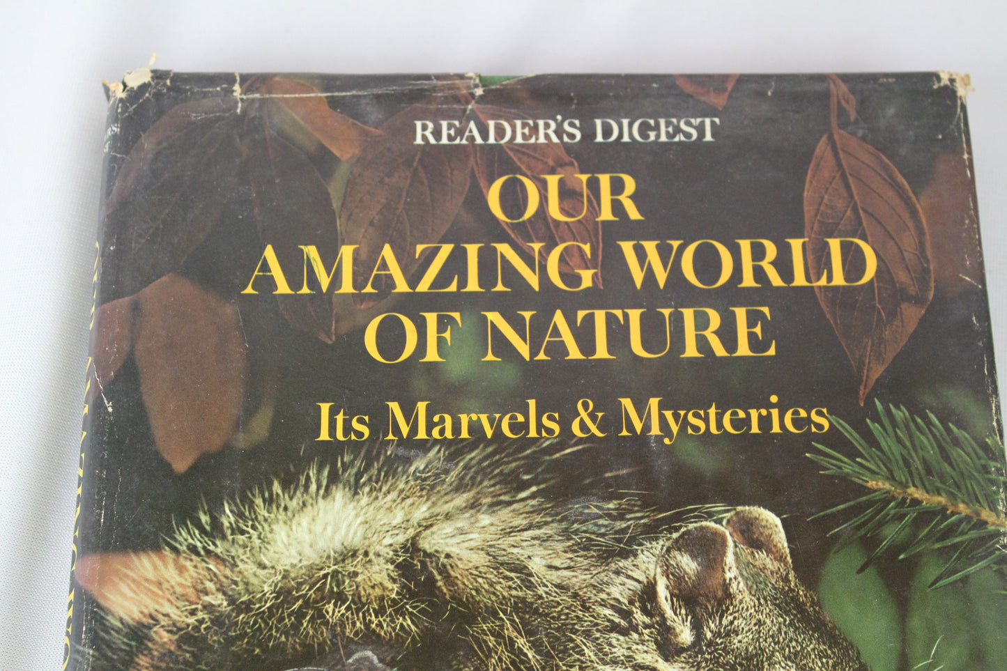 Our Amazing World of Nature by Reader's Digest