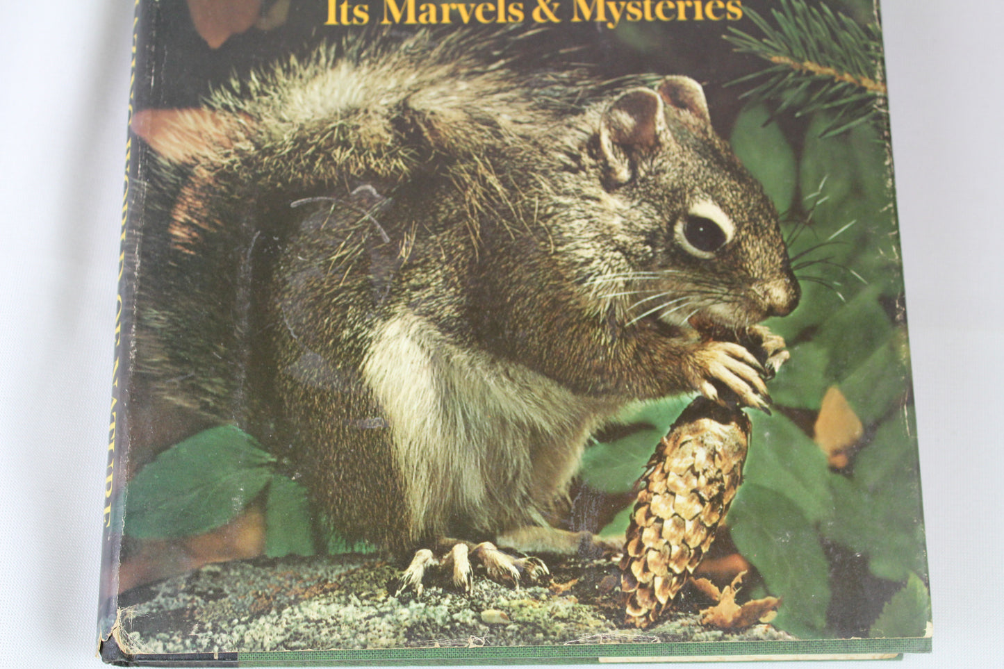 Our Amazing World of Nature by Reader's Digest