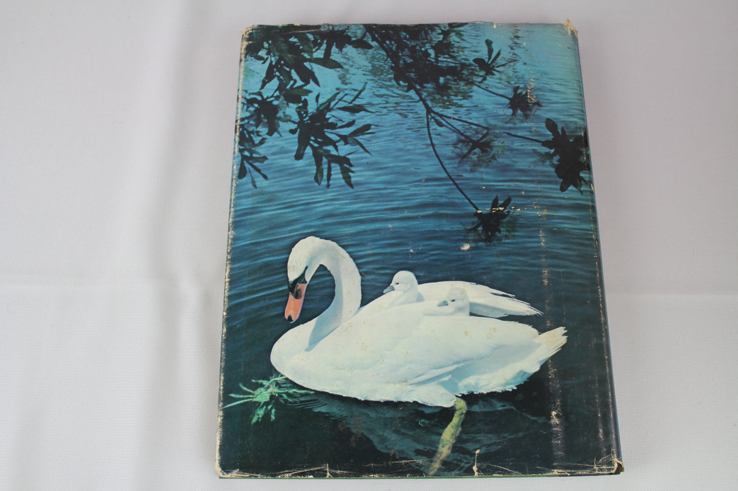 Our Amazing World of Nature by Reader's Digest