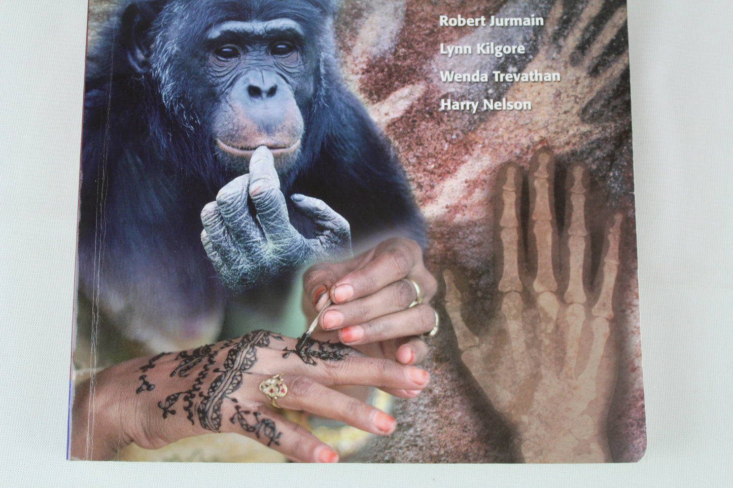 Introduction to Physical Anthropology, Study Guide by Robert Jurmain