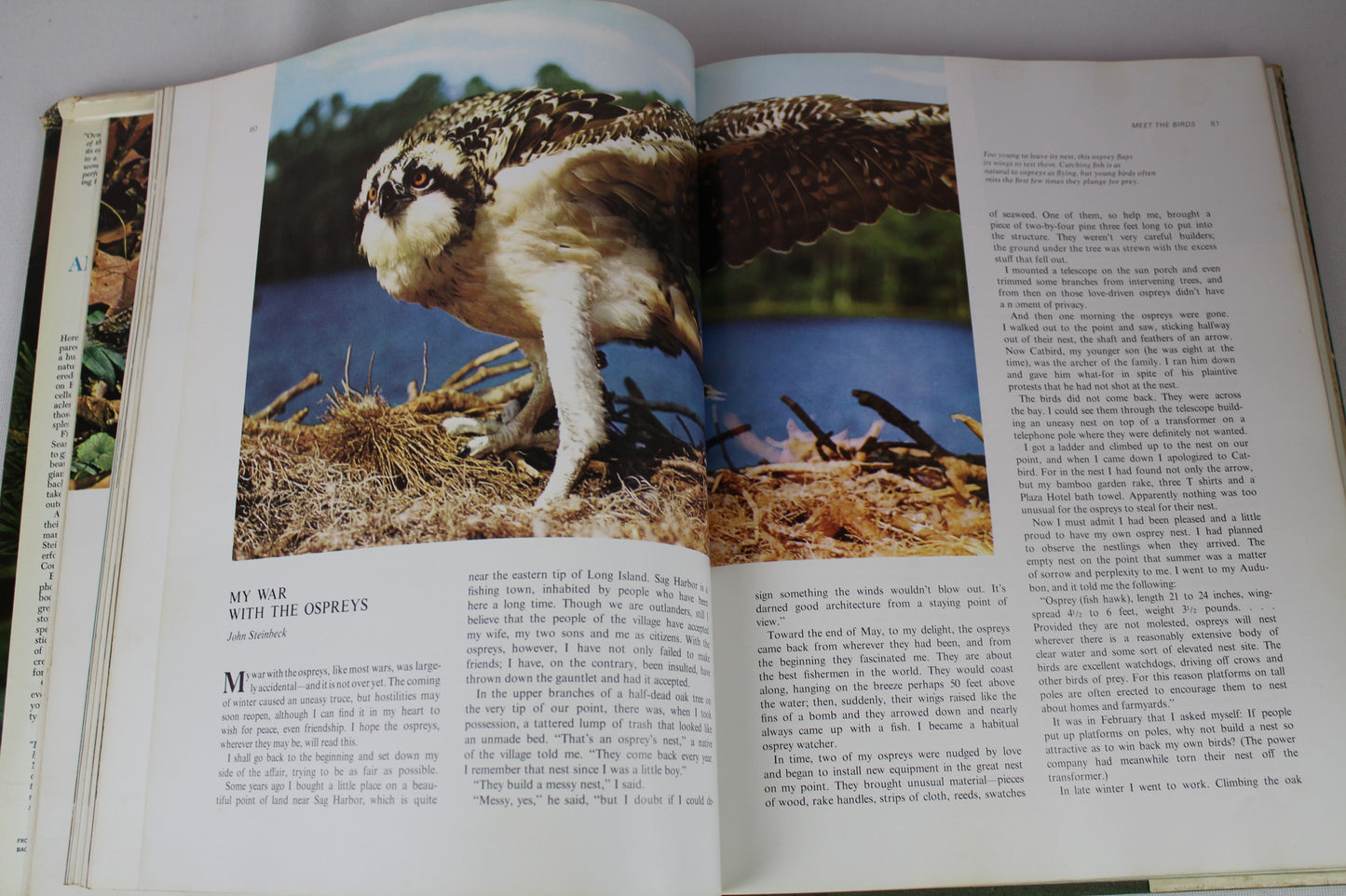 Our Amazing World of Nature by Reader's Digest