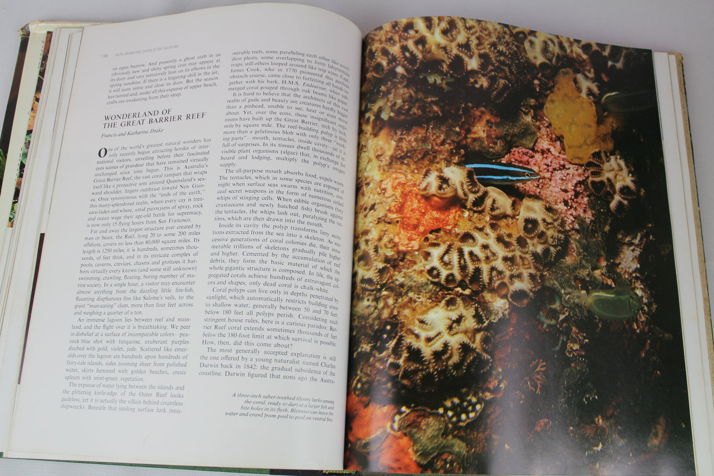 Our Amazing World of Nature by Reader's Digest