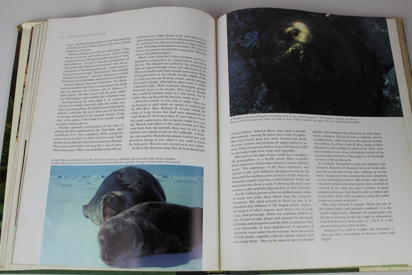 Our Amazing World of Nature by Reader's Digest