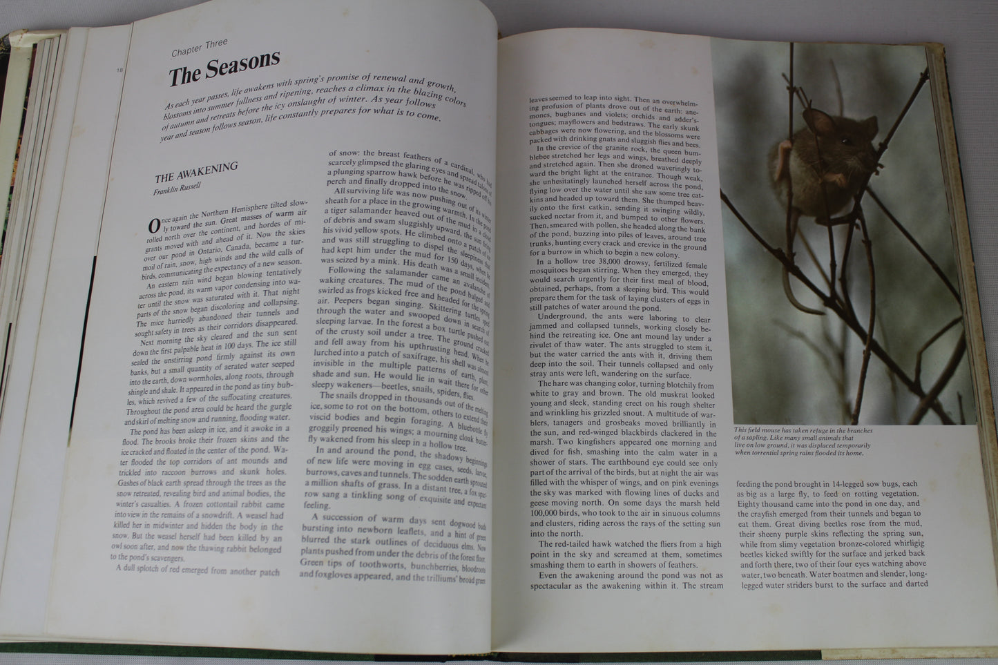 Our Amazing World of Nature by Reader's Digest