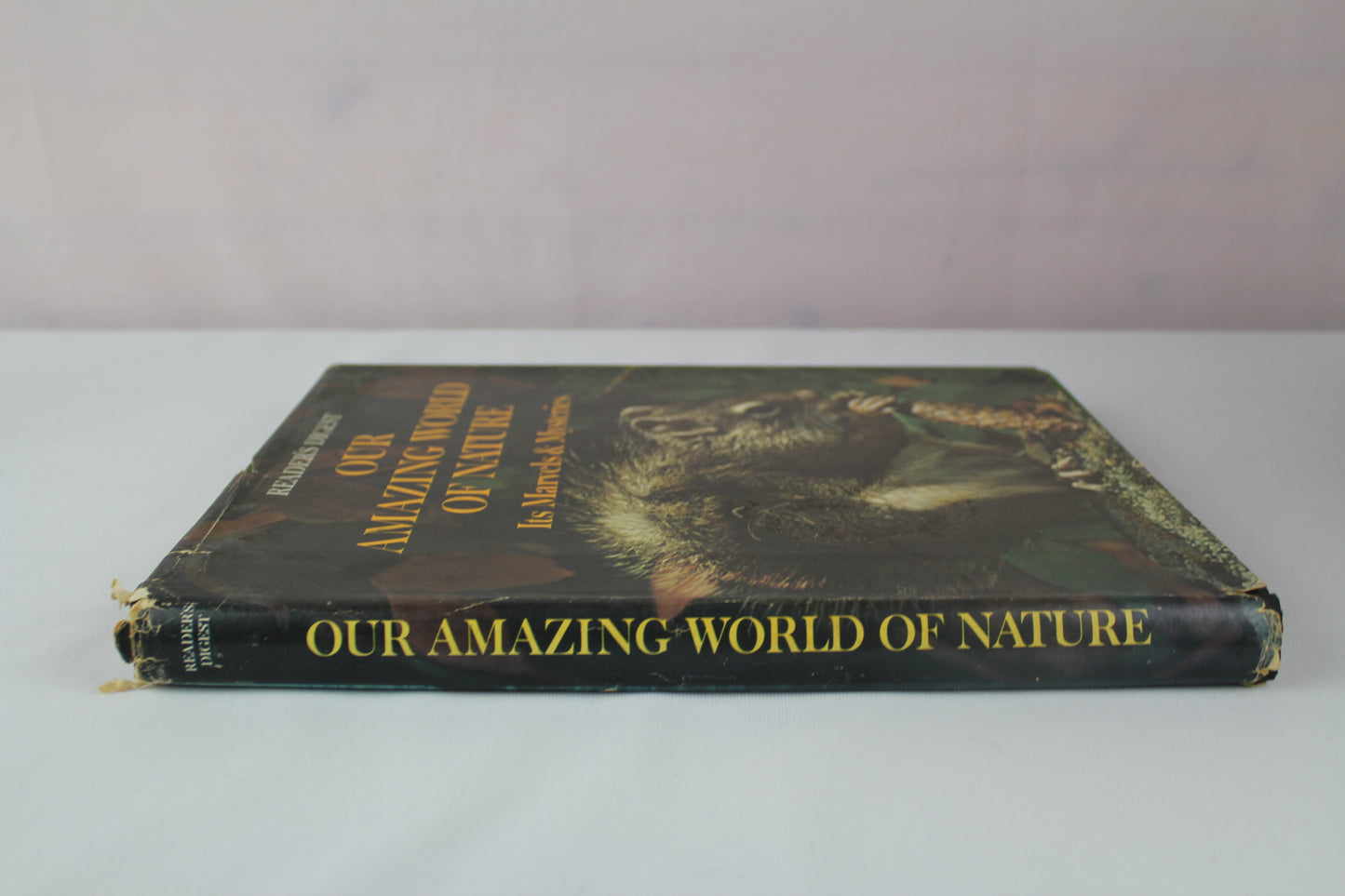 Our Amazing World of Nature by Reader's Digest