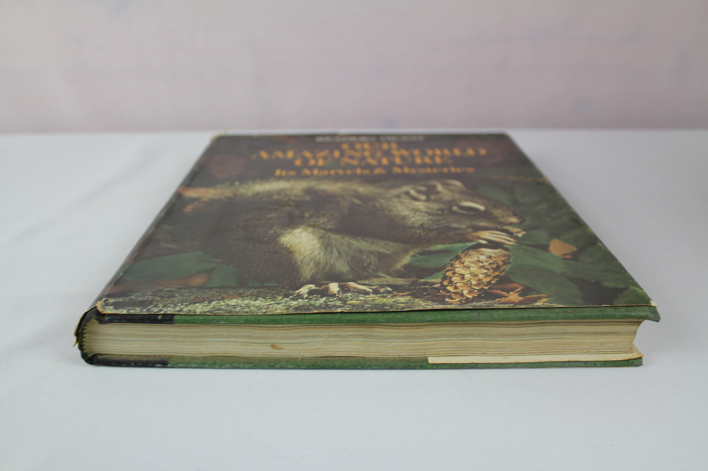 Our Amazing World of Nature by Reader's Digest