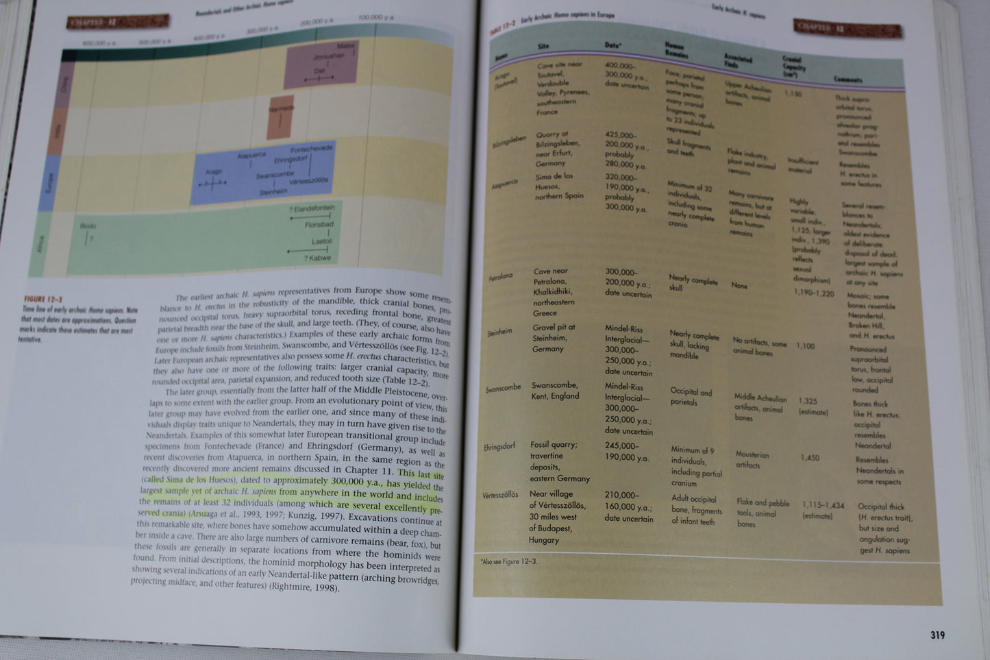 Introduction to Physical Anthropology, Study Guide by Robert Jurmain