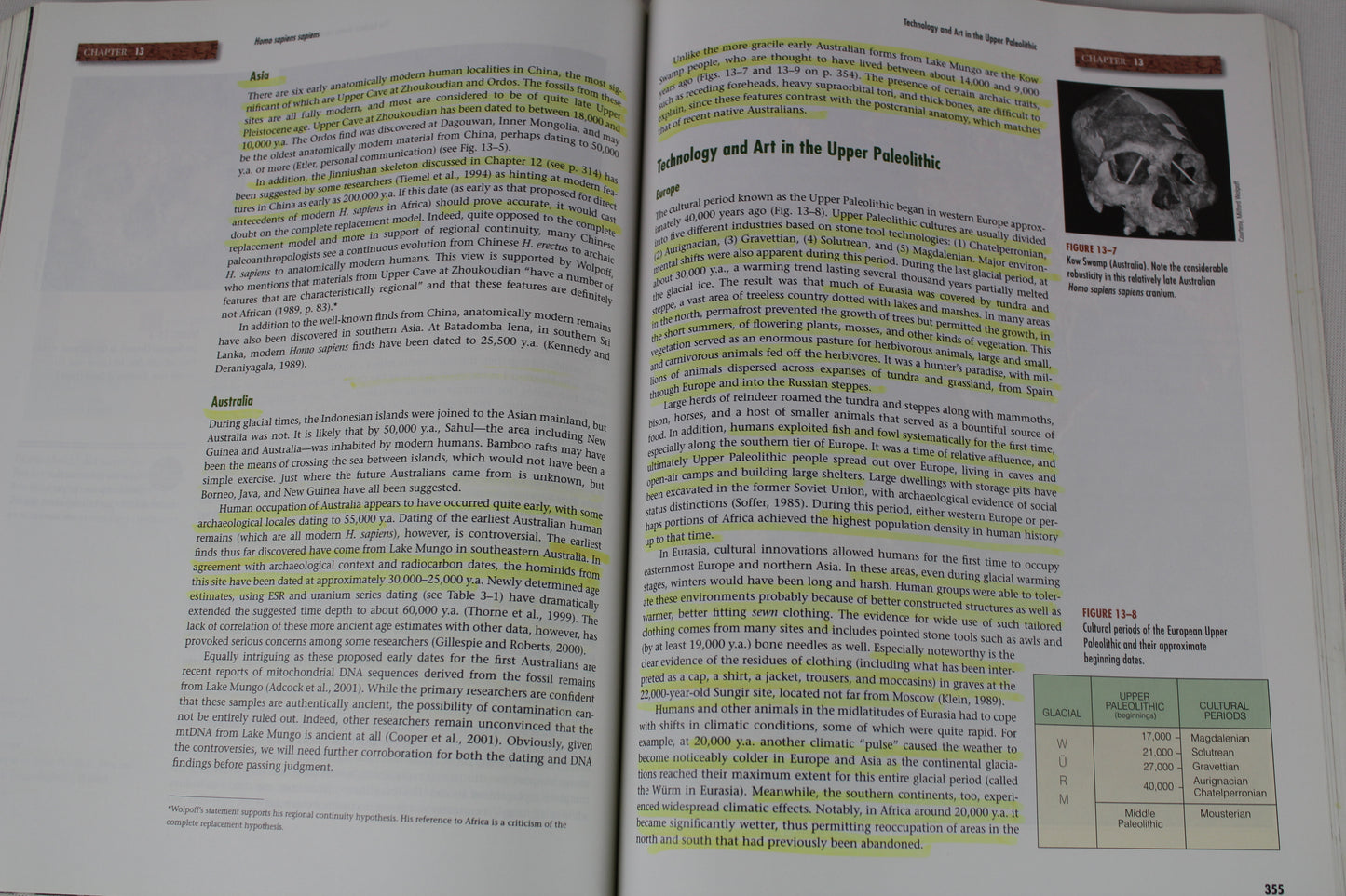 Introduction to Physical Anthropology, Study Guide by Robert Jurmain