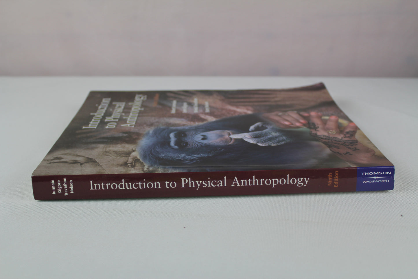 Introduction to Physical Anthropology, Study Guide by Robert Jurmain