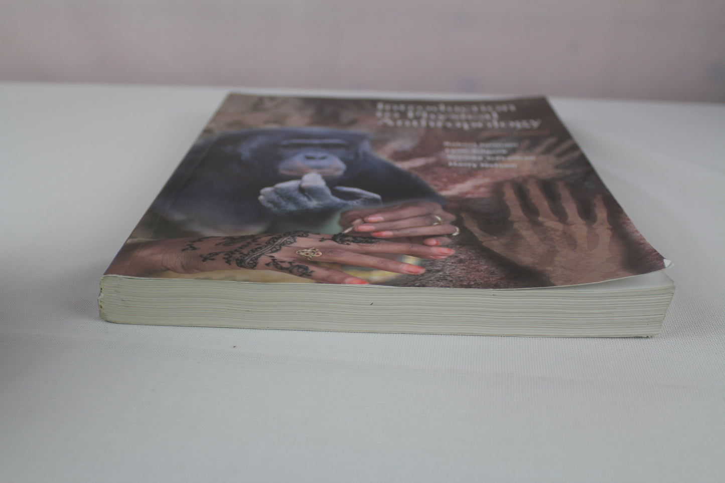 Introduction to Physical Anthropology, Study Guide by Robert Jurmain