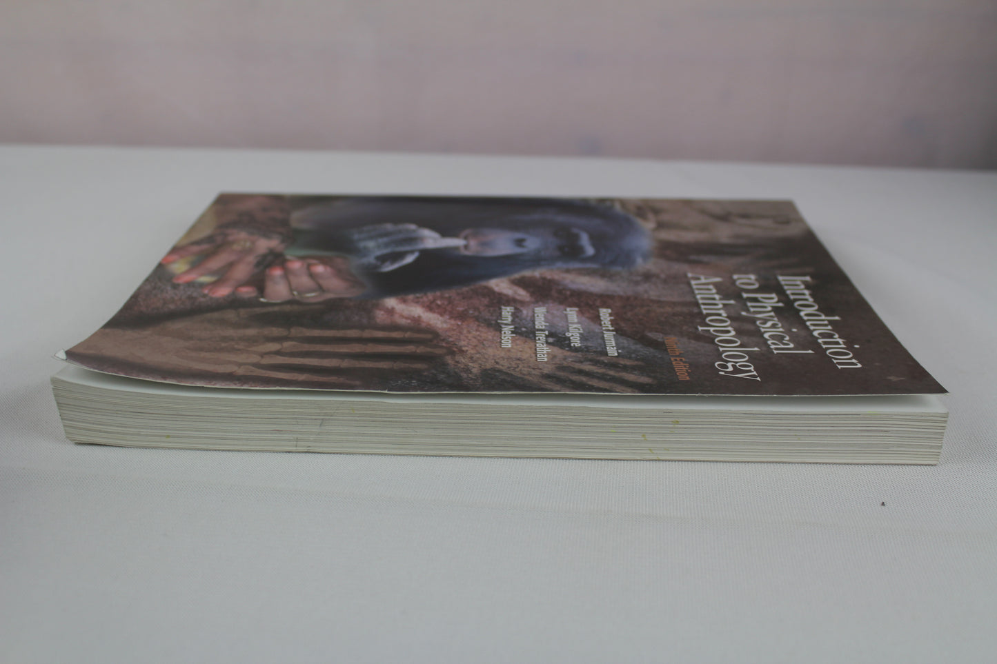 Introduction to Physical Anthropology, Study Guide by Robert Jurmain
