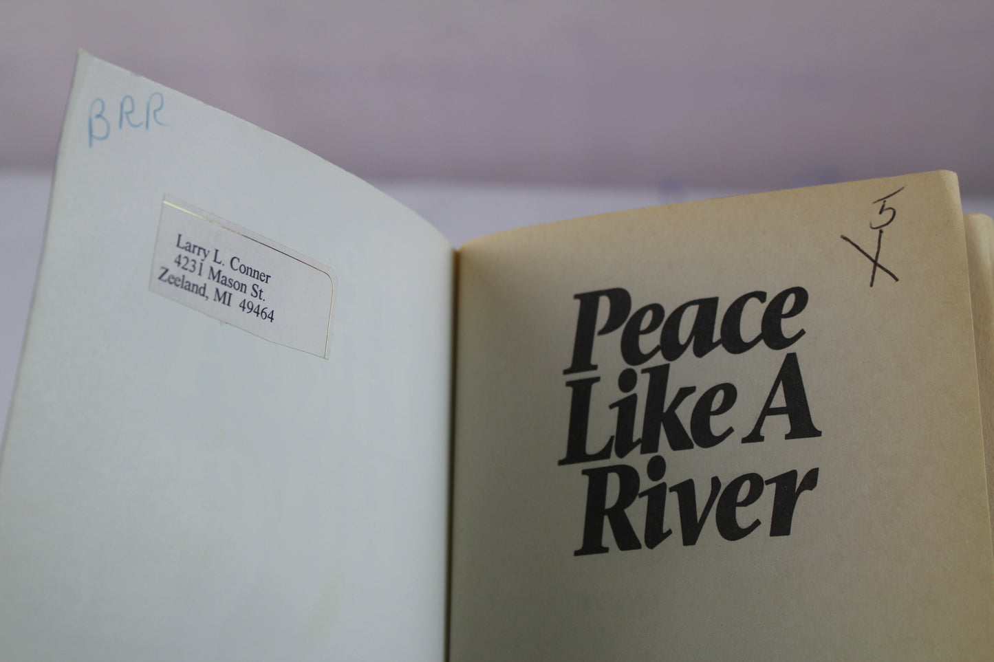 Peace Like a River (California Pioneer Series, Book 5) by Elaine L. Schulte
