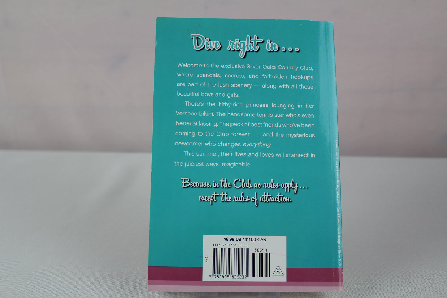 Pool Boys by Erin Haft, Scholastic