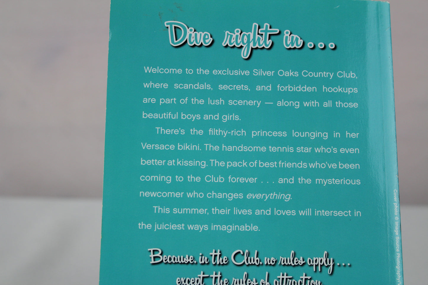 Pool Boys by Erin Haft, Scholastic