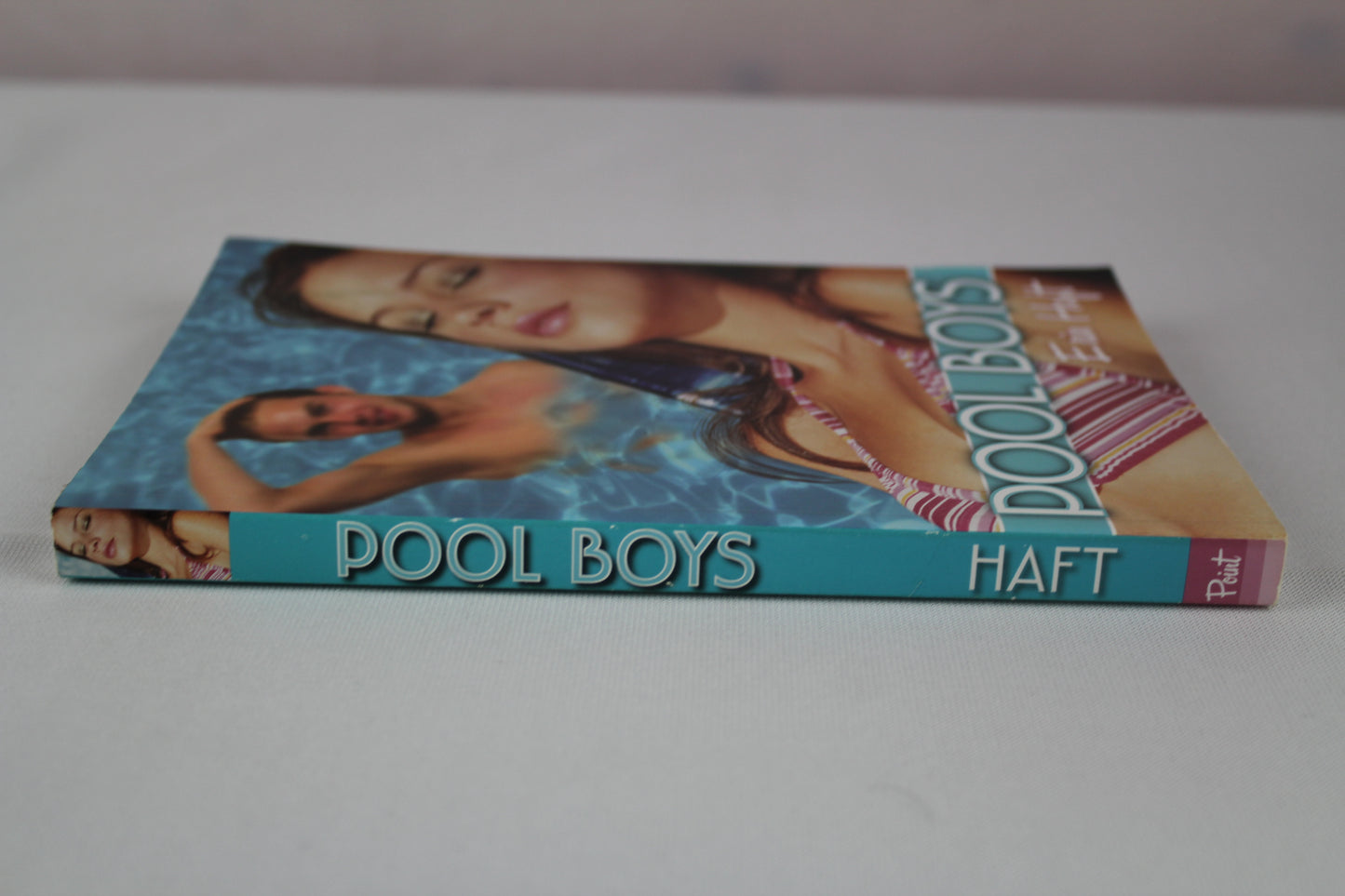 Pool Boys by Erin Haft, Scholastic