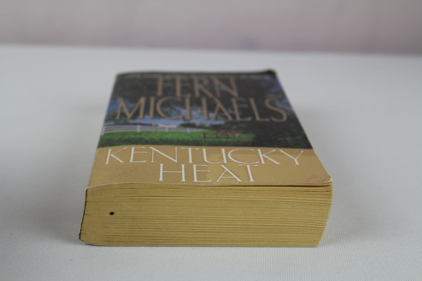 Kentucky Heat by Fern Michaels