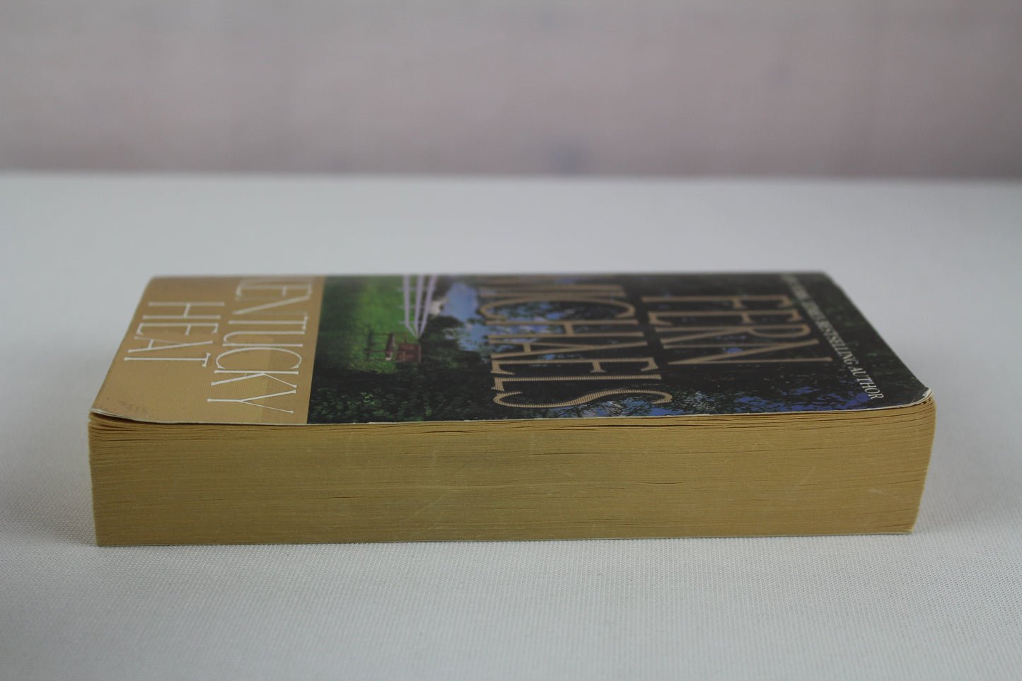 Kentucky Heat by Fern Michaels