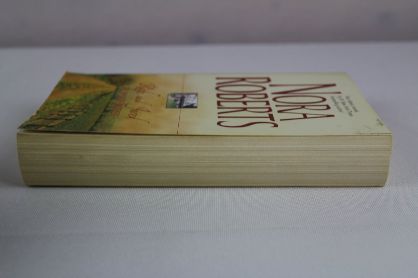 Rafe and Jared: The MacKade Brothers by Nora Roberts