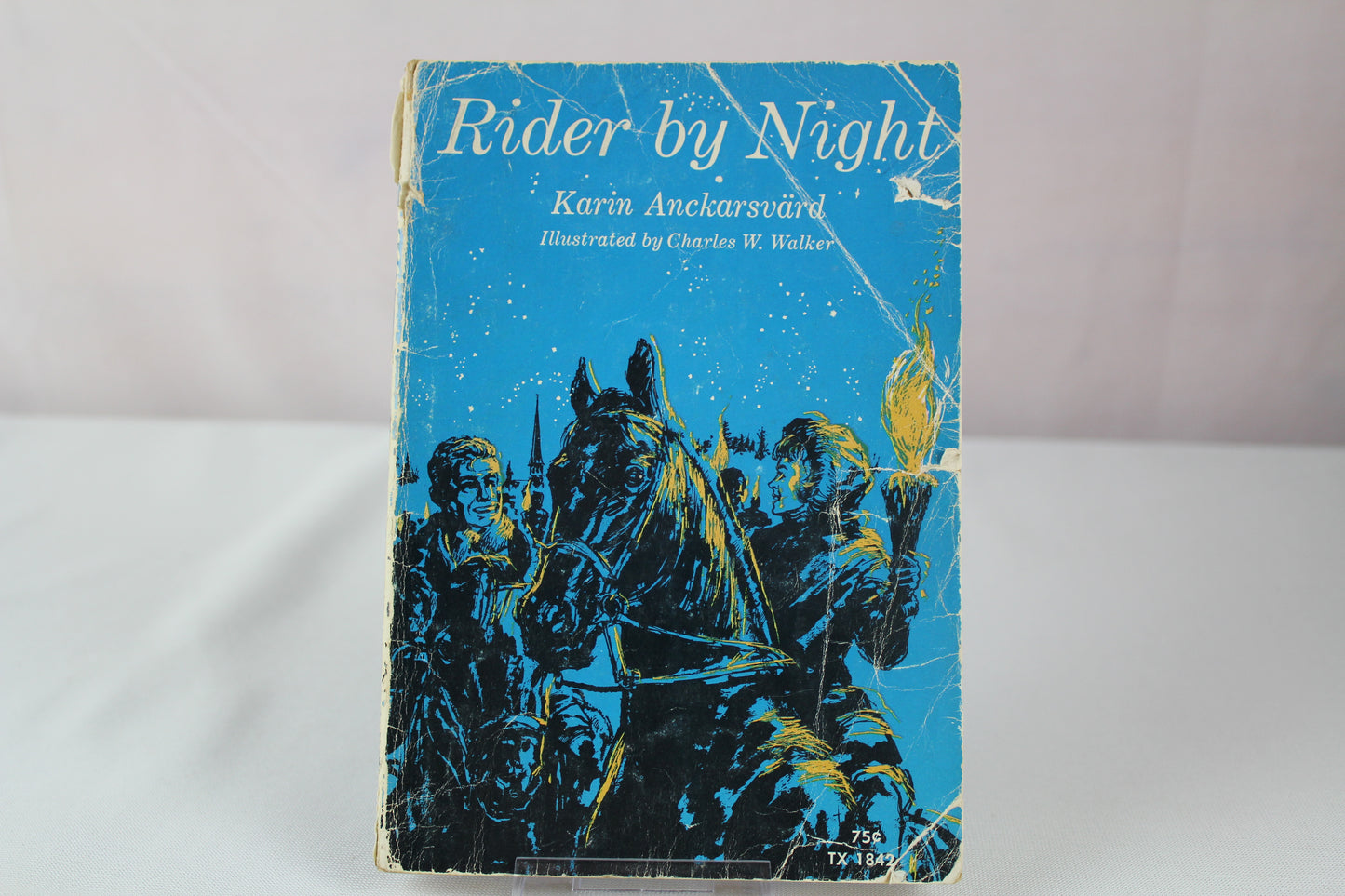 Rider by Night by Karin Anckarsvard