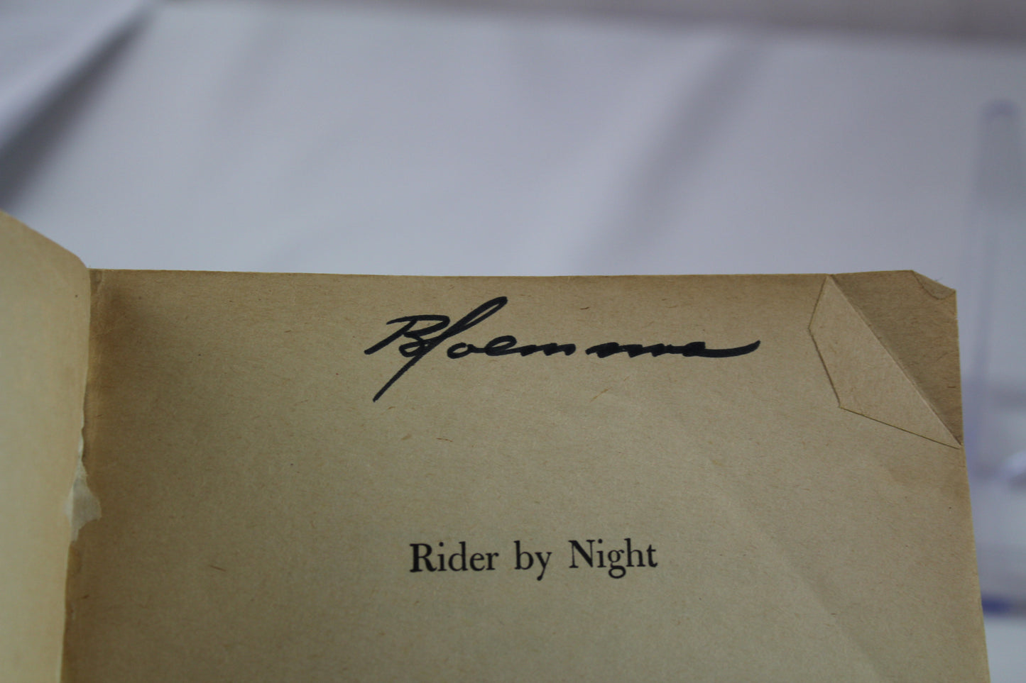 Rider by Night by Karin Anckarsvard