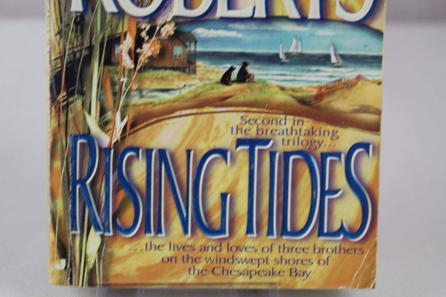 Rising Tides (The Chesapeake Bay Saga, Book 2) by Nora Roberts