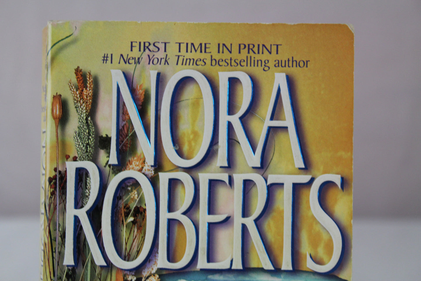 Rising Tides (The Chesapeake Bay Saga, Book 2) by Nora Roberts