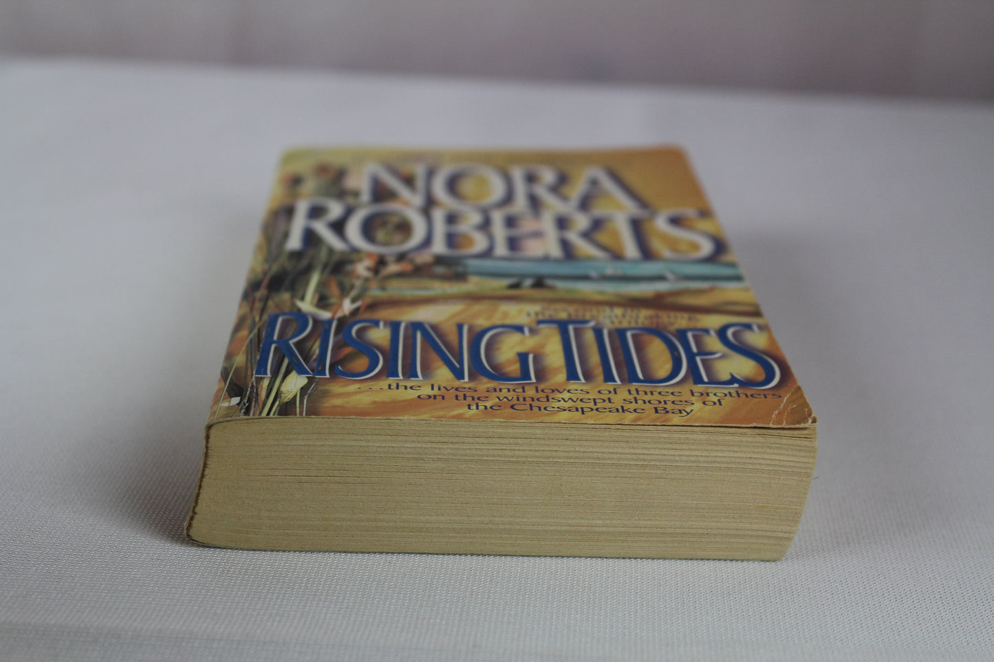 Rising Tides (The Chesapeake Bay Saga, Book 2) by Nora Roberts