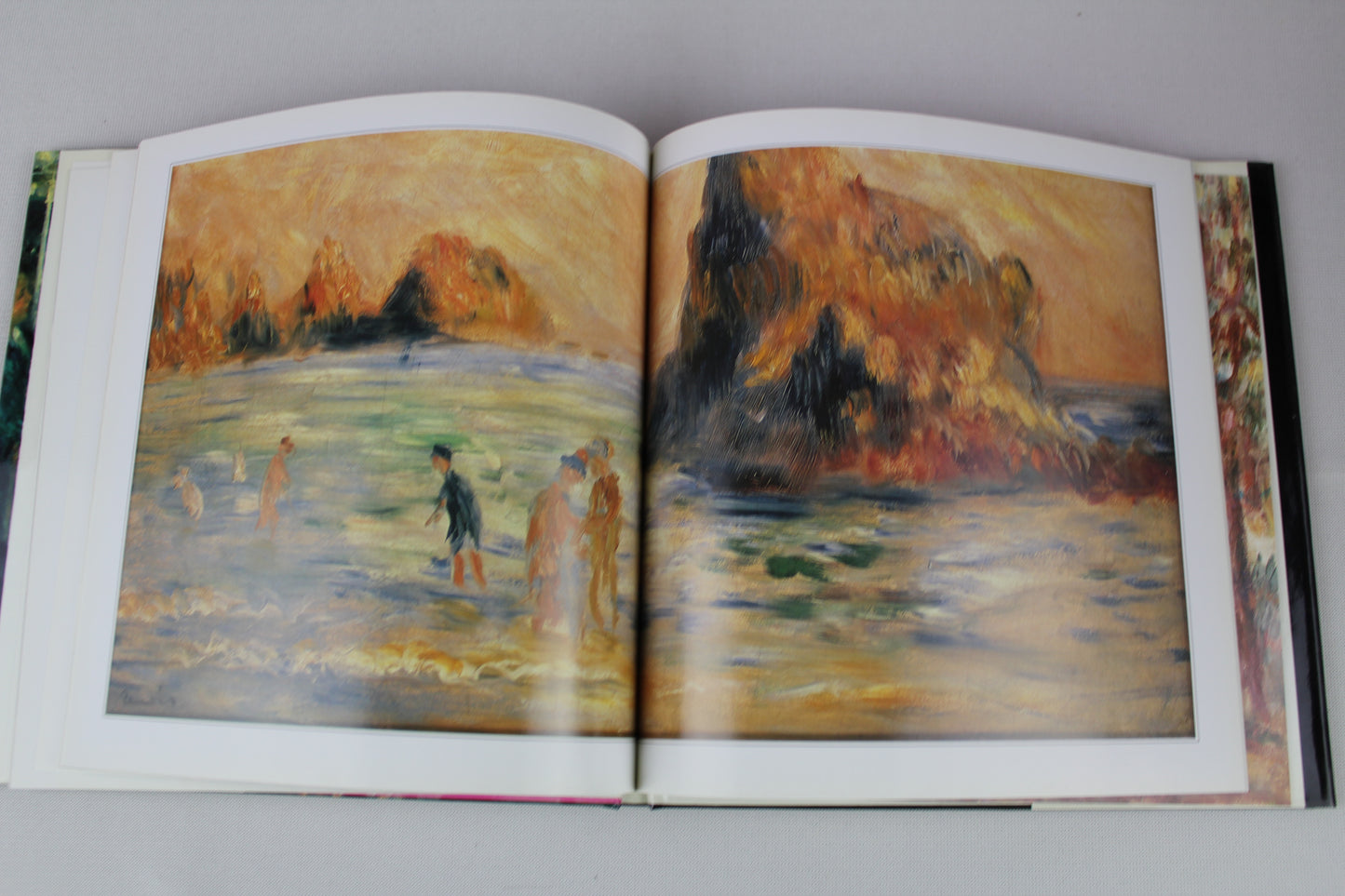 Life and Works of Renoir (Life & Works) by Janice Anderson