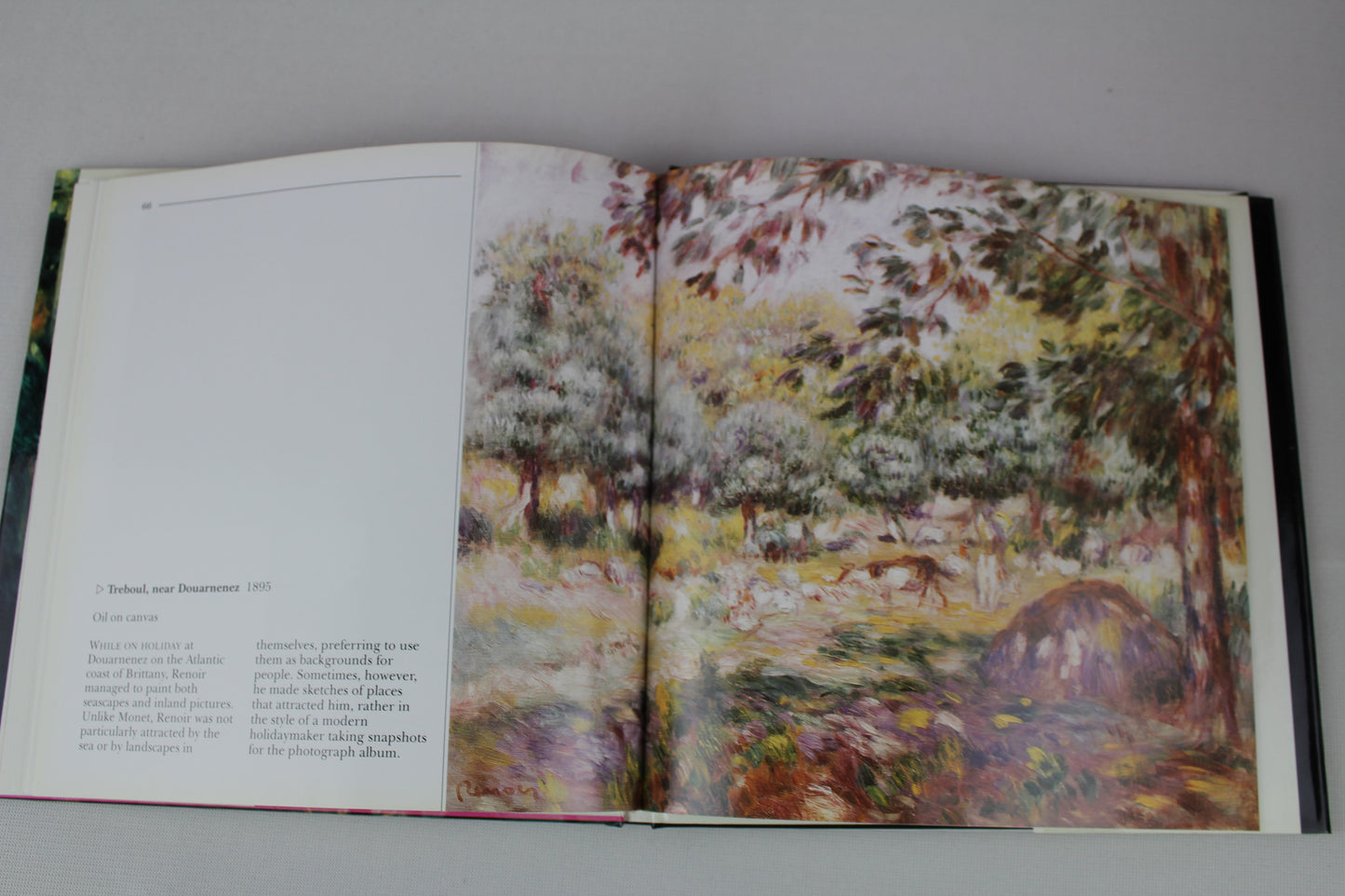 Life and Works of Renoir (Life & Works) by Janice Anderson