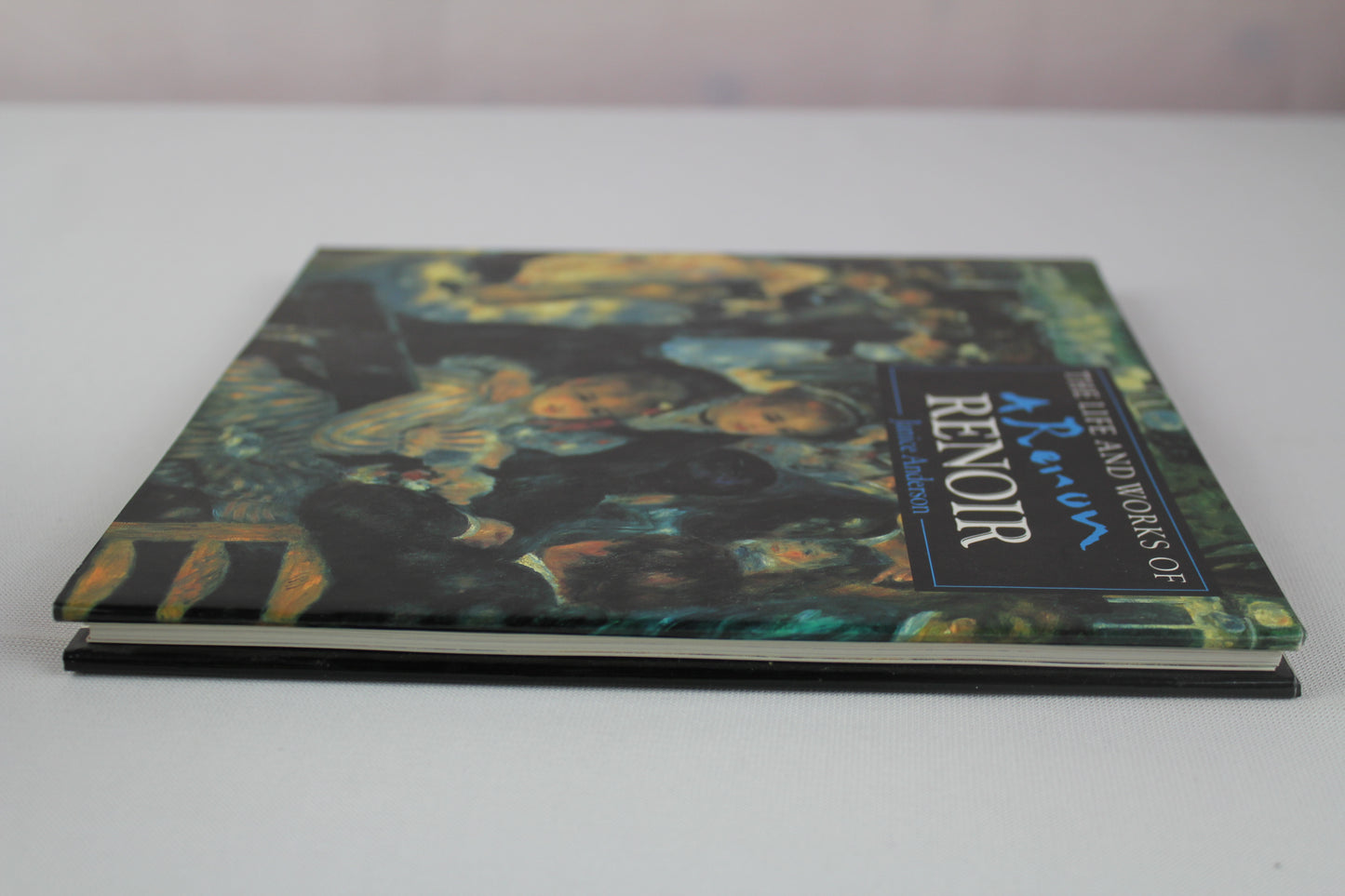 Life and Works of Renoir (Life & Works) by Janice Anderson