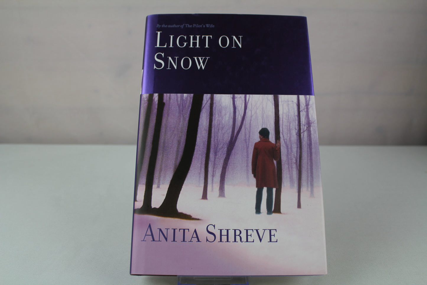 Light on Snow by Anita Shreve