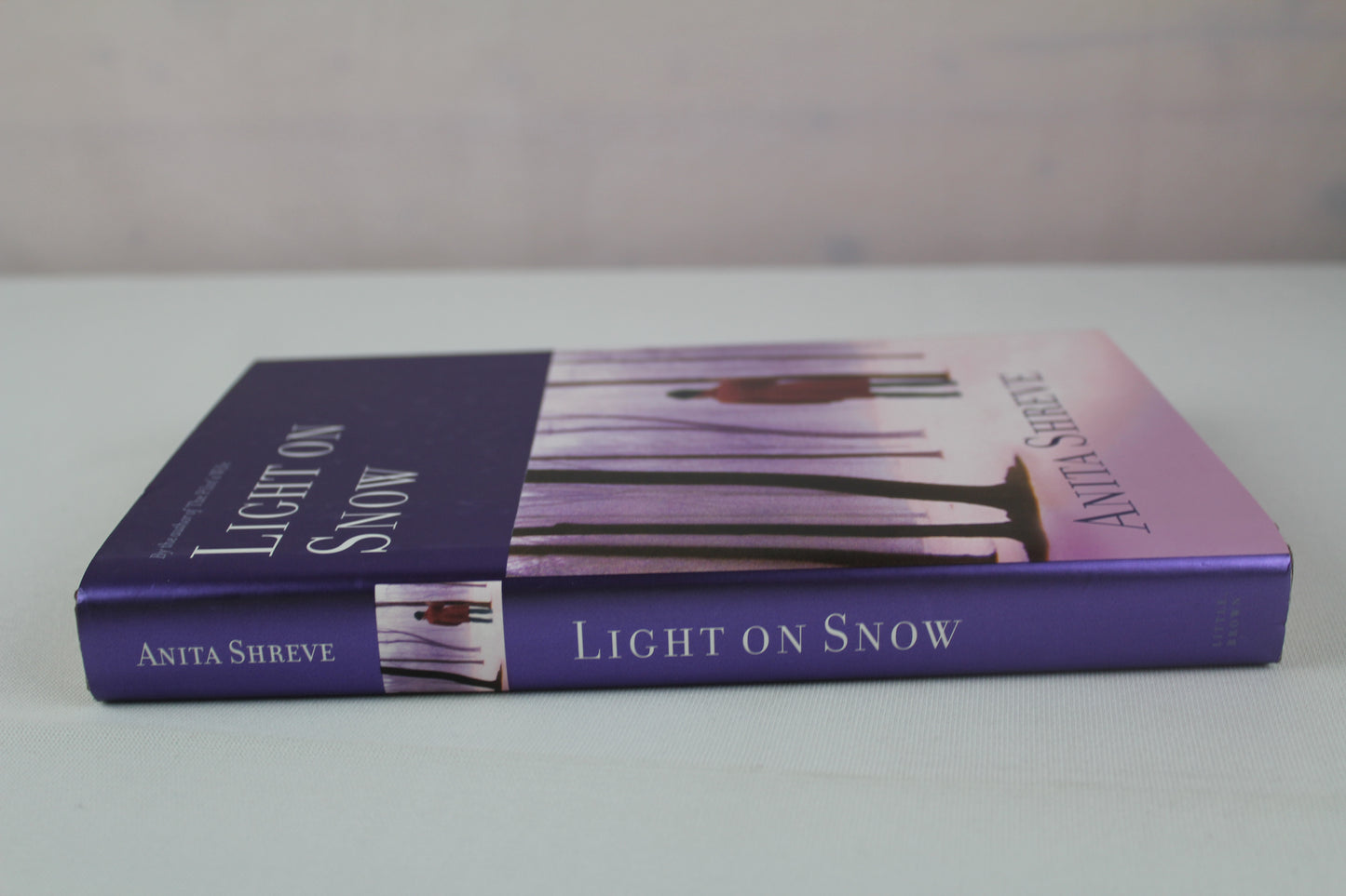 Light on Snow by Anita Shreve