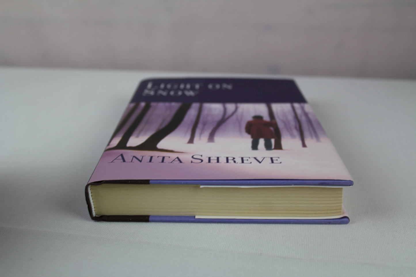 Light on Snow by Anita Shreve