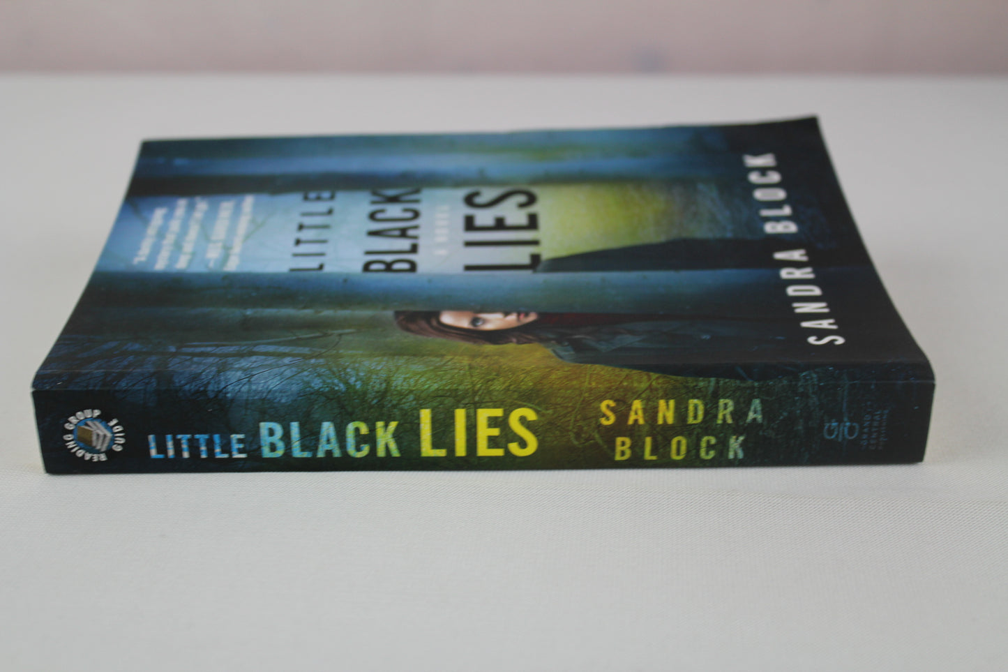 Little Black Lies (A Zoe Goldman Novel, 1) by Sandra Block