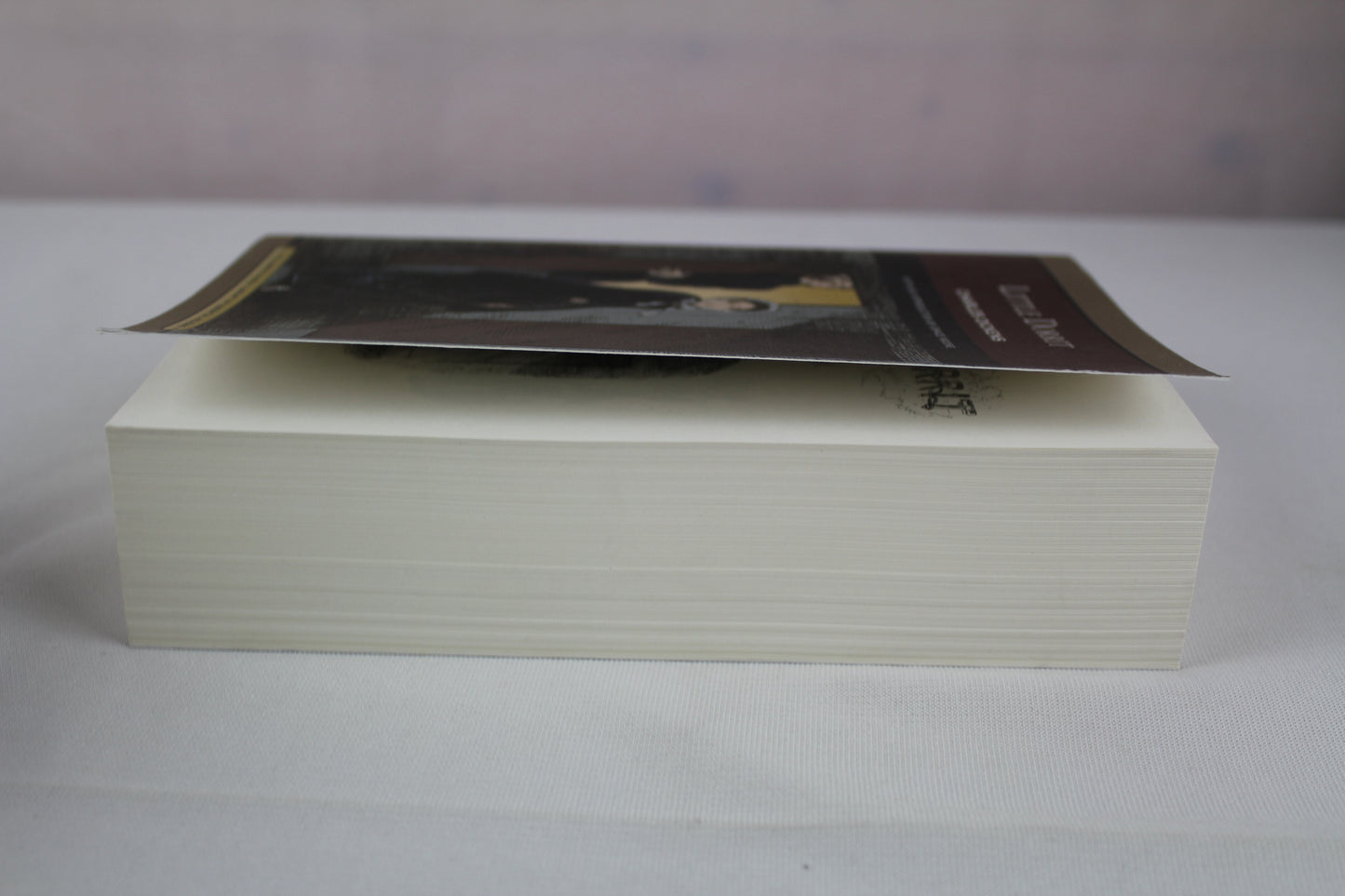 Little Dorrit by Charles Dickens, Helen Small, Stephen Wall