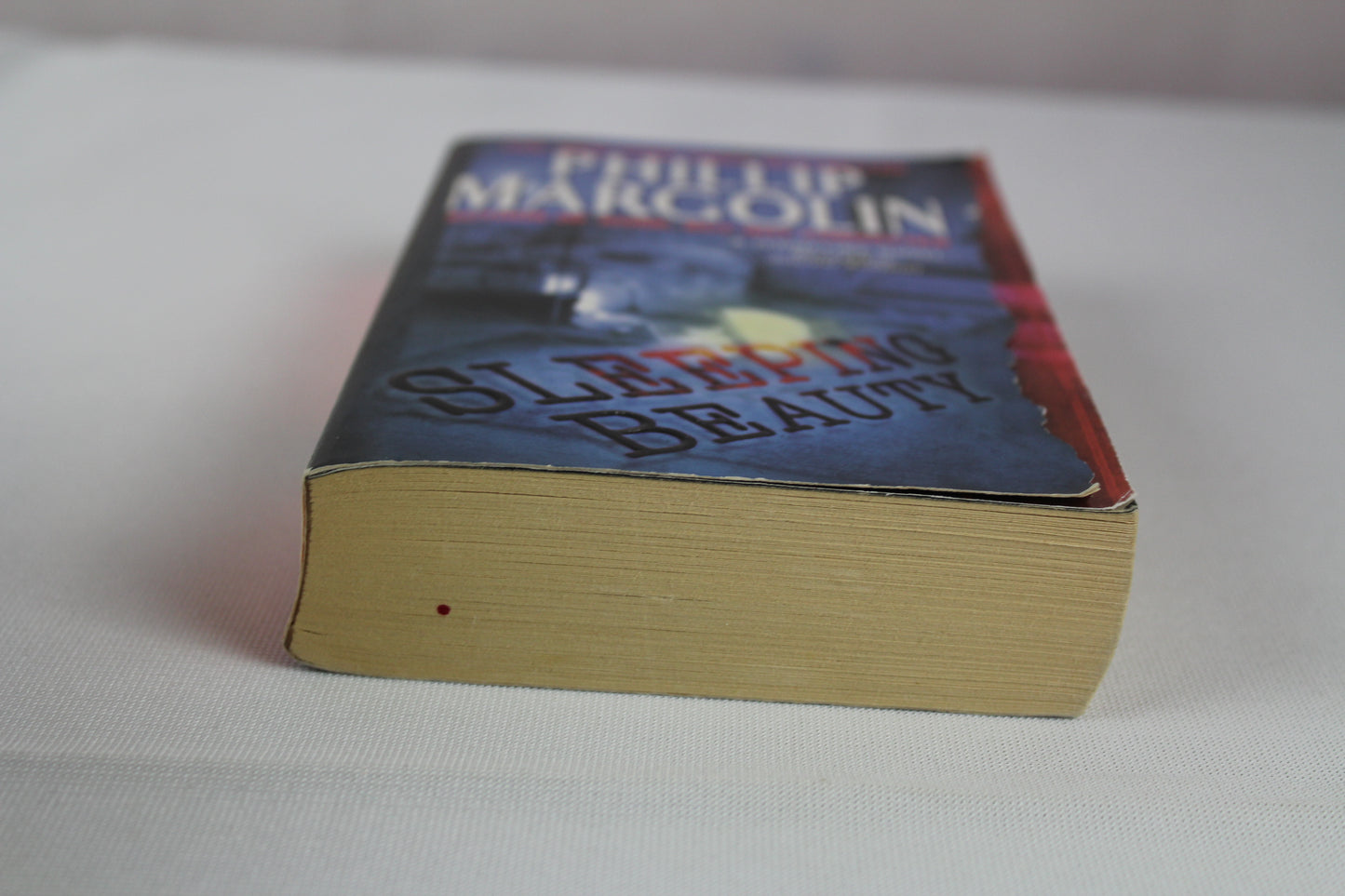 Sleeping Beauty by Phillip Margolin