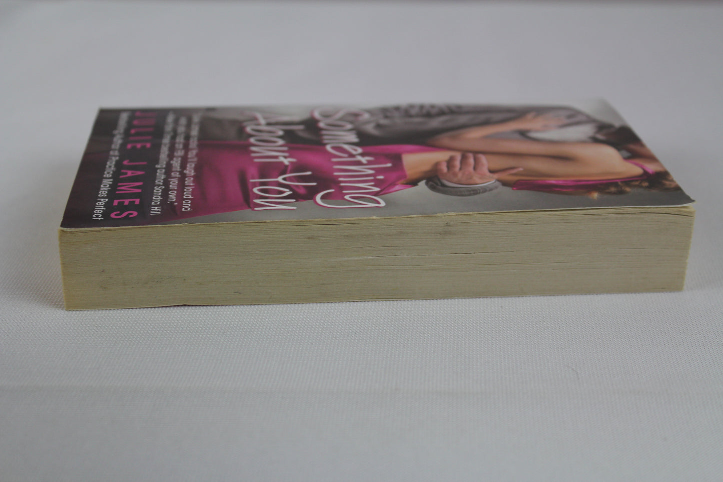 Something About You (An FBI/US Attorney Novel) by Julie James
