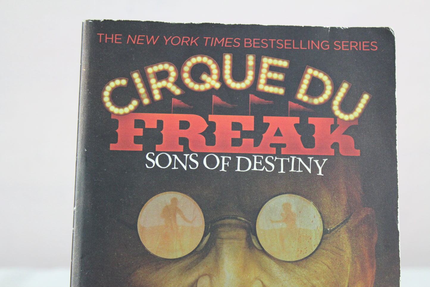 Sons of Destiny (Cirque Du Freak: The Saga of Darren Shan, Book 12 by Darren Shan