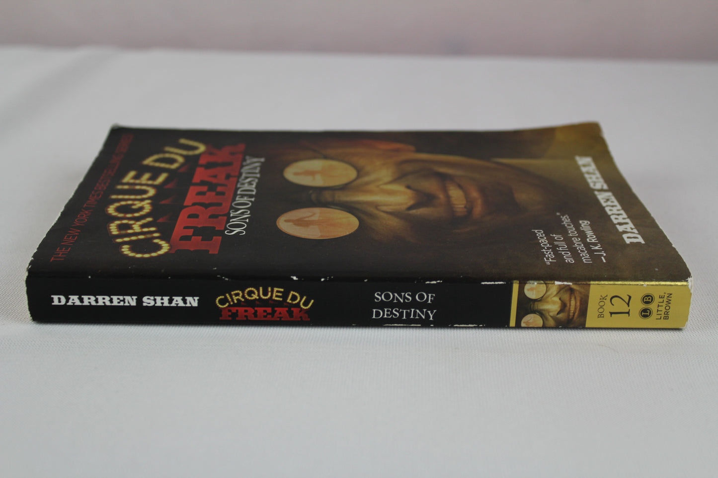 Sons of Destiny (Cirque Du Freak: The Saga of Darren Shan, Book 12 by Darren Shan