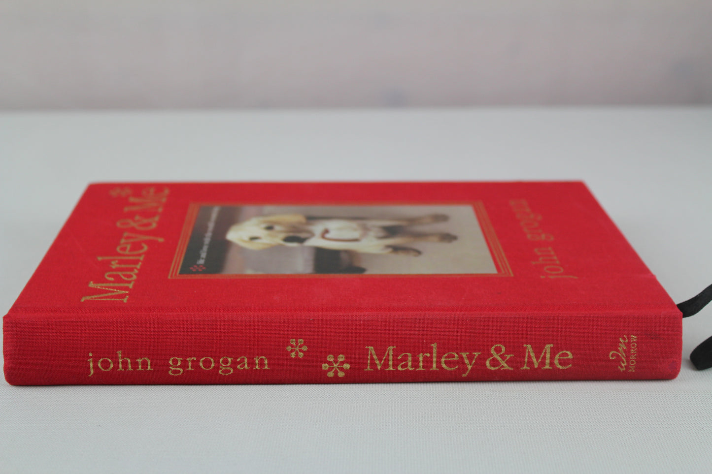 Marley & Me Illustrated Edition: Life and Love with the World's Worst Dog by John Grogan