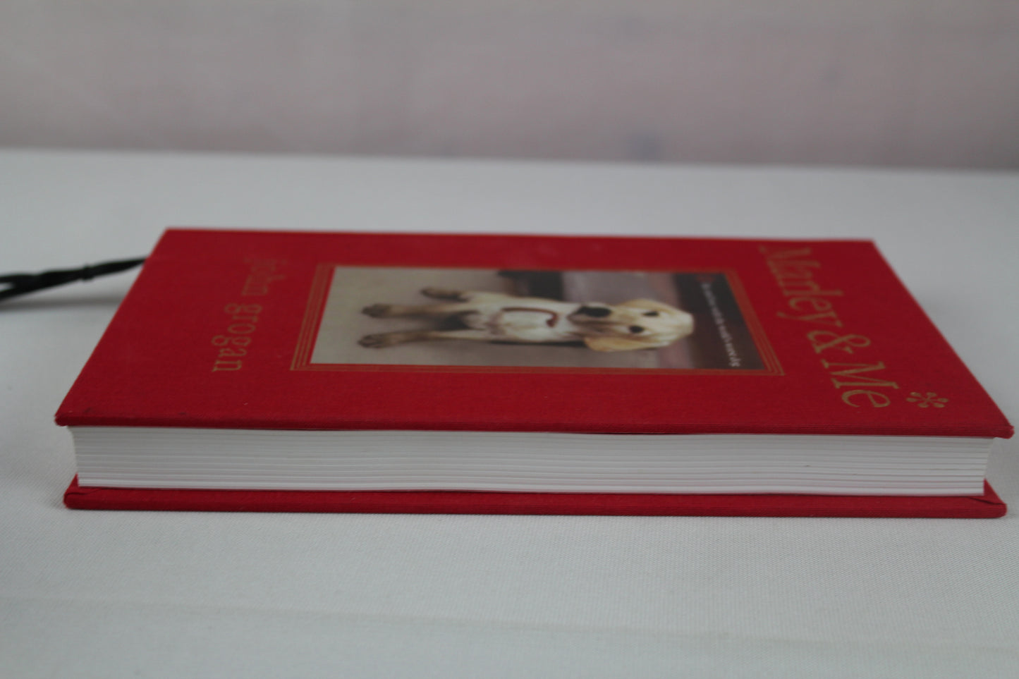 Marley & Me Illustrated Edition: Life and Love with the World's Worst Dog by John Grogan