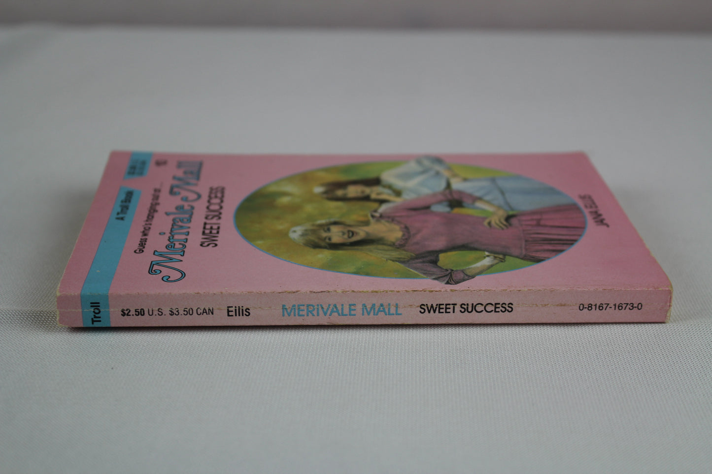 Sweet Success (Merivale Mall) by Jana Ellis