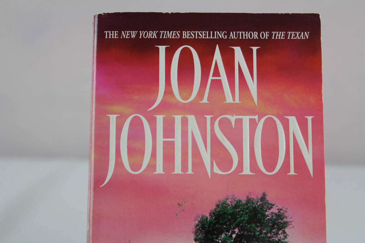 Sweetwater Seduction: A Novel by Joan Johnston