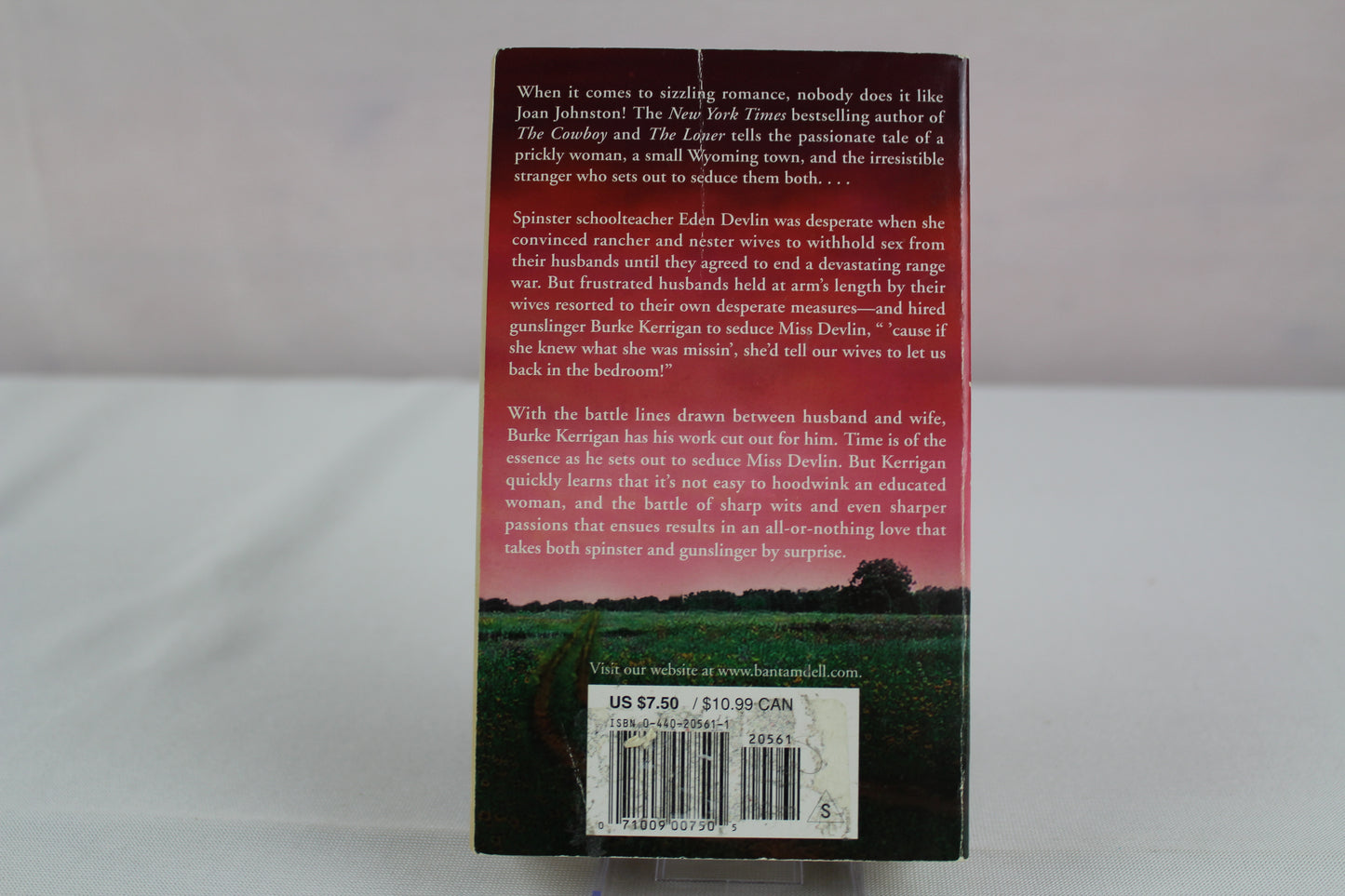 Sweetwater Seduction: A Novel by Joan Johnston