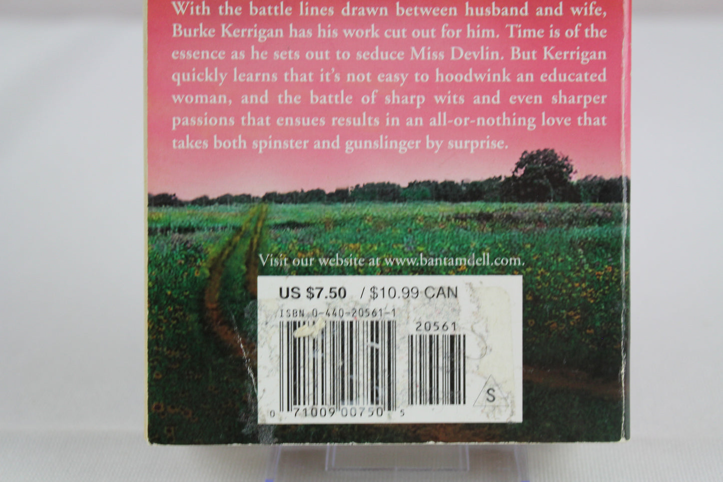Sweetwater Seduction: A Novel by Joan Johnston