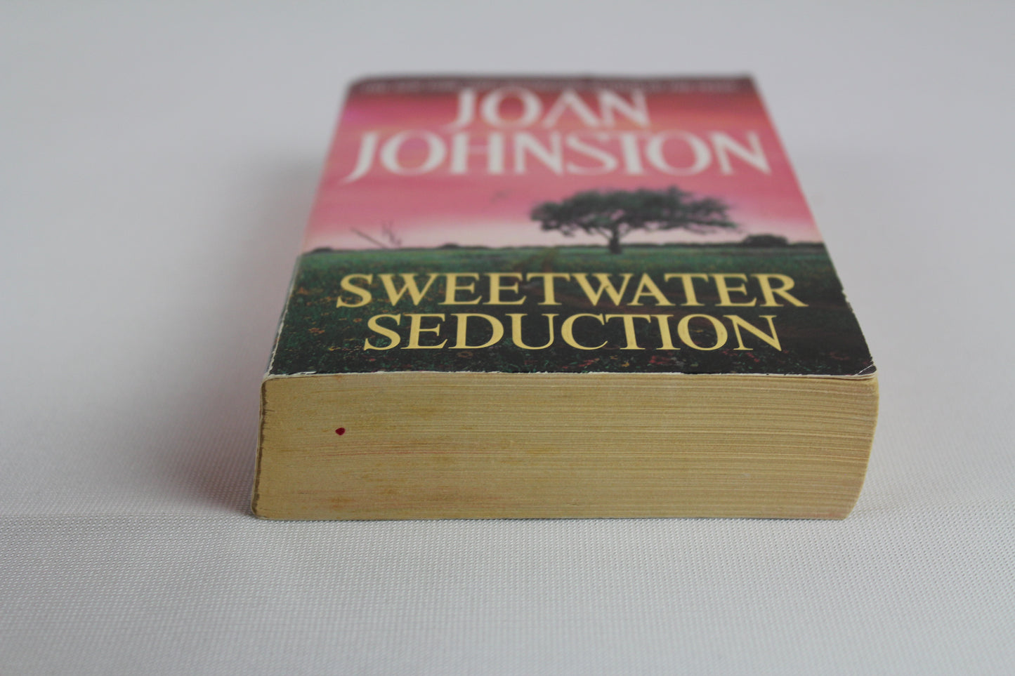 Sweetwater Seduction: A Novel by Joan Johnston
